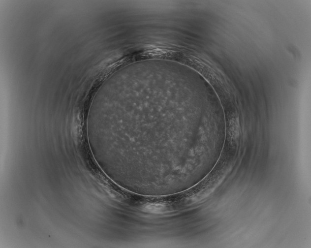 X0000112770653200908271642