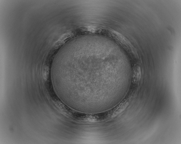 X0000112770656200908271642