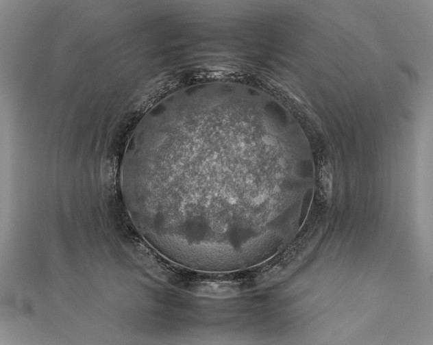 X0000112770657200908271642