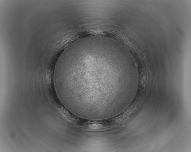 X0000112770658200908271642