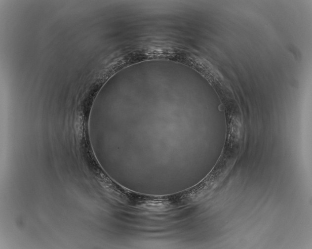 X0000112770659200908271642
