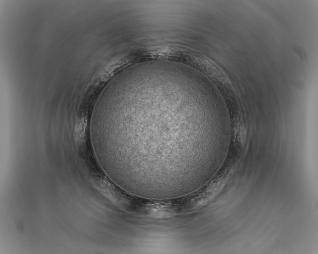 X0000112770660200908271643