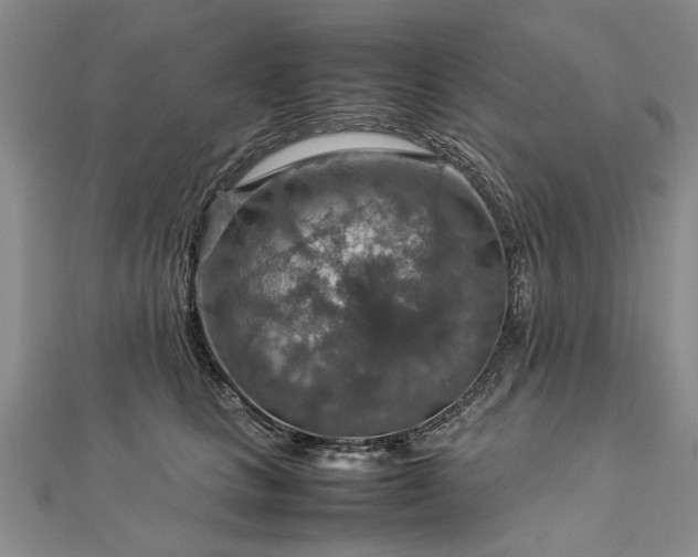 X0000112770661200908271643