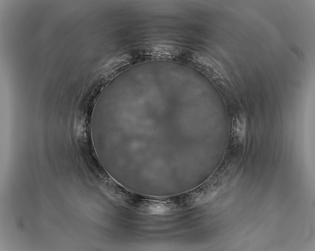 X0000112770663200908271643