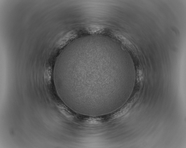 X0000112770664200908271643
