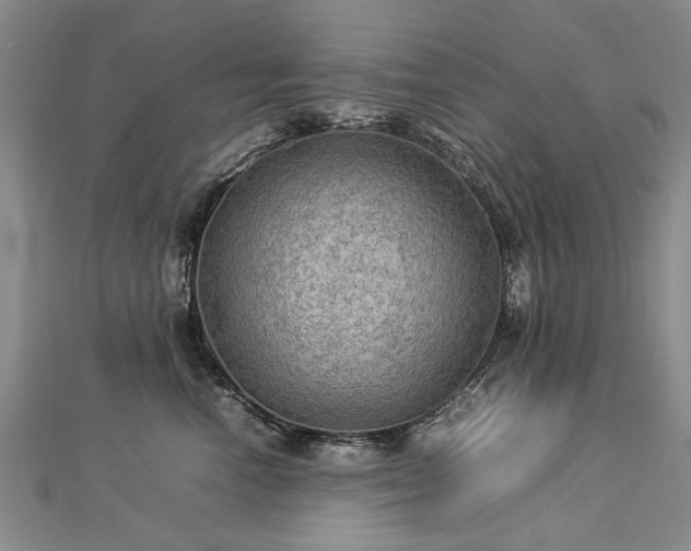 X0000112770666200908271643