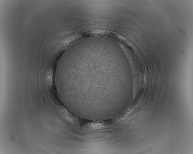 X0000112770668200908271643