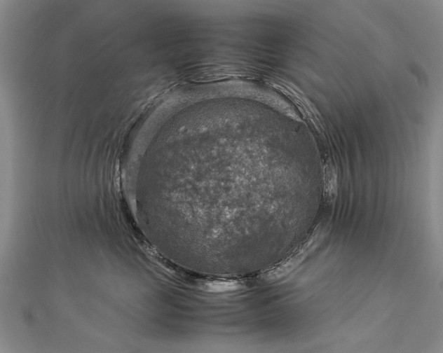 X0000112770669200908271643