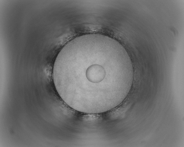 X0000112770672200908271643