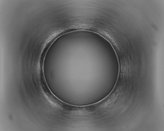X0000112770674200908271642