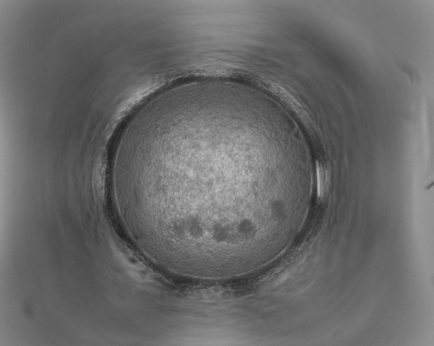 X0000112770675200908271642