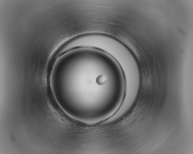 X0000112770676200908271642