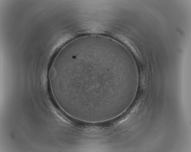 X0000112770677200908271642