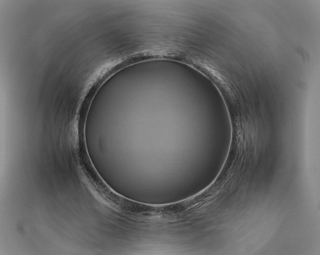 X0000112770678200908271642