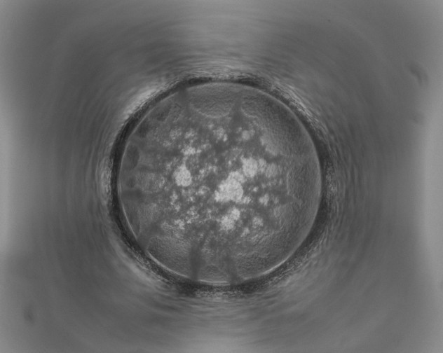 X0000112770679200908271642