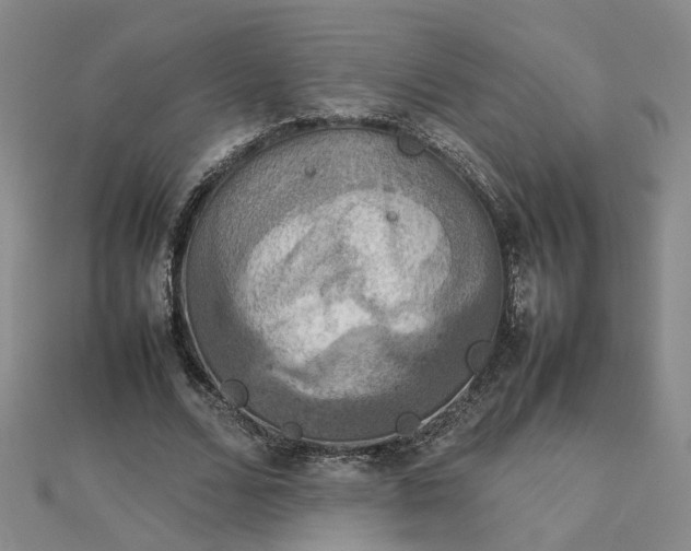 X0000112770680200908271642