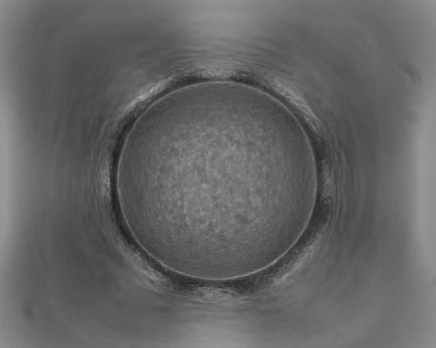 X0000112770681200908271642