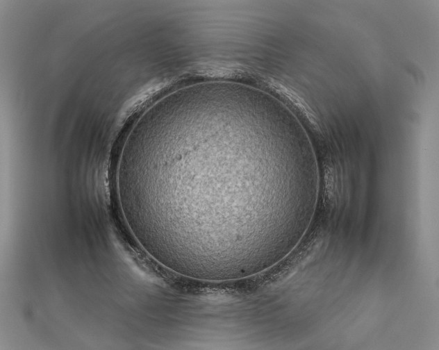 X0000112770682200908271642