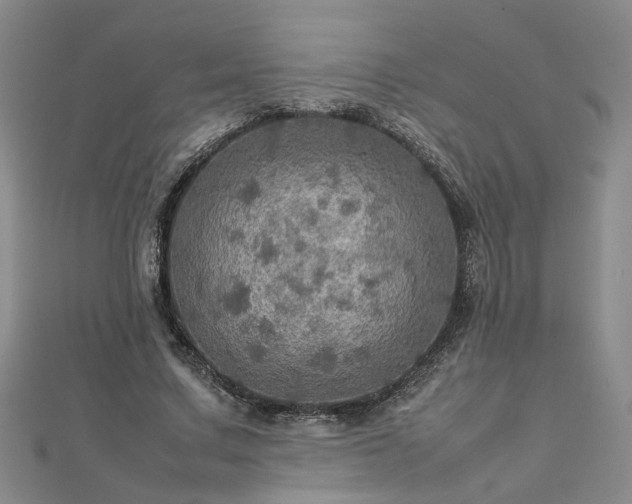 X0000112770683200908271642