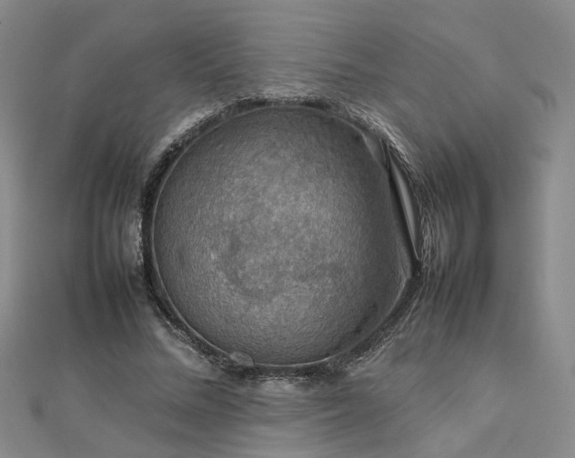 X0000112770684200908271642