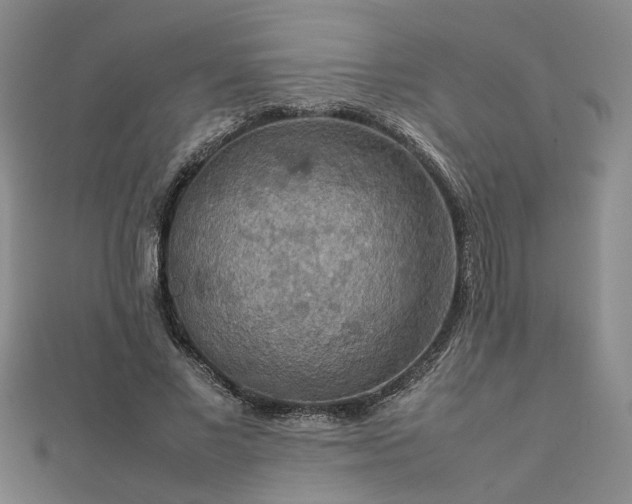 X0000112770685200908271642