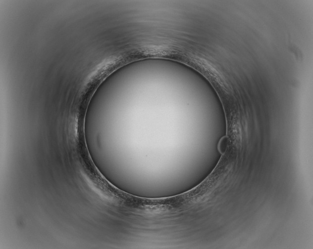 X0000112770686200908271642