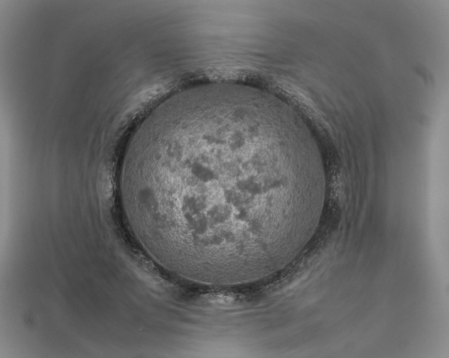 X0000112770687200908271642