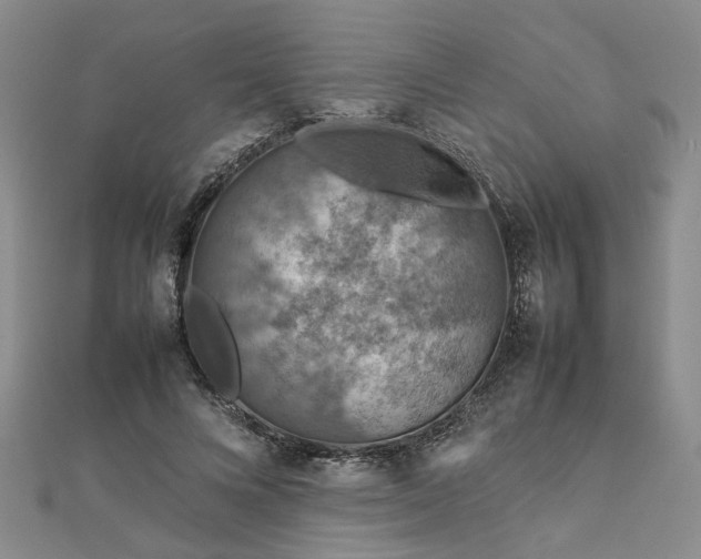 X0000112770688200908271642