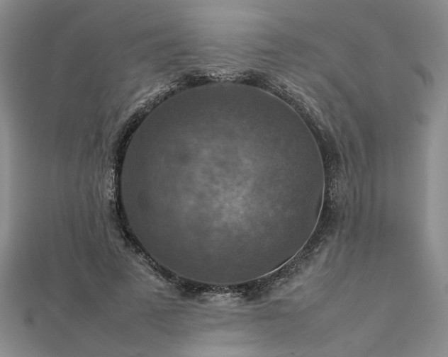 X0000112770689200908271642