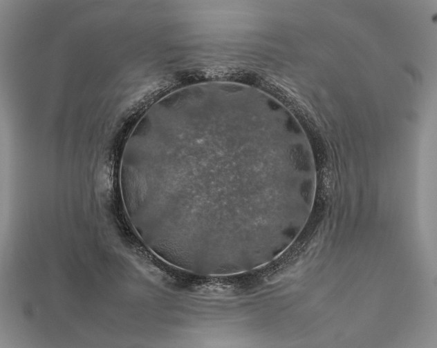 X0000112770691200908271642