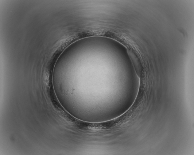 X0000112770693200908271642