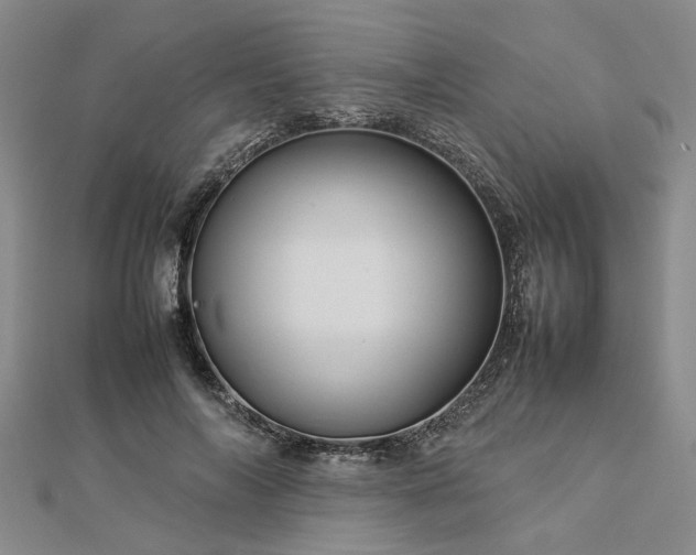 X0000112770694200908271642