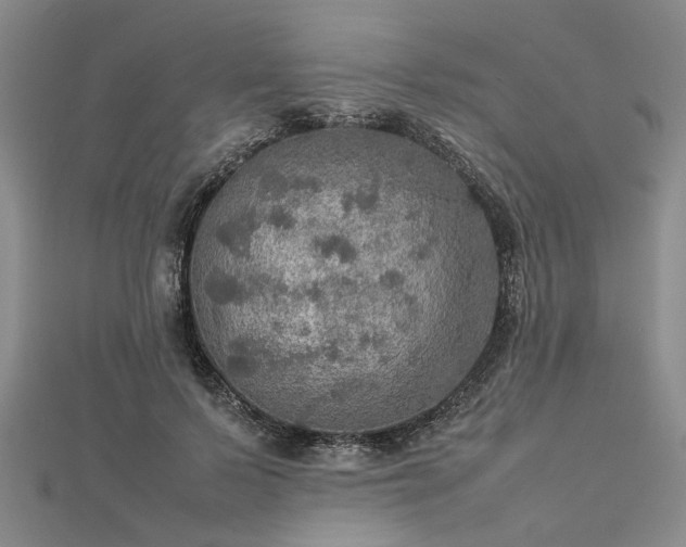 X0000112770695200908271642