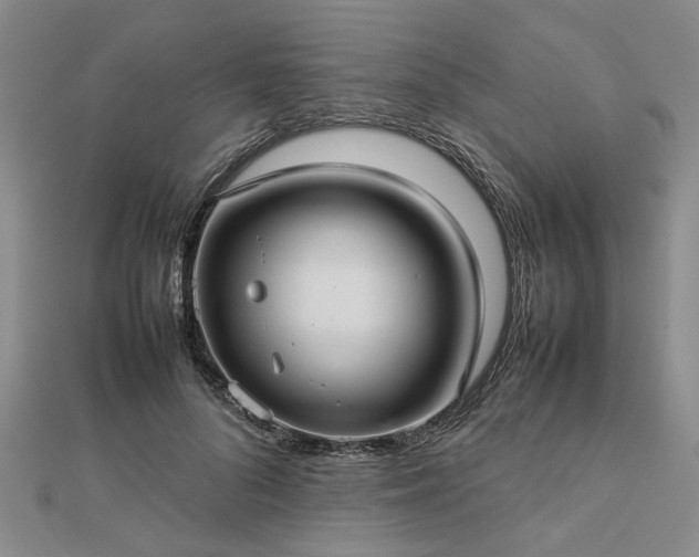 X0000112770696200908271642