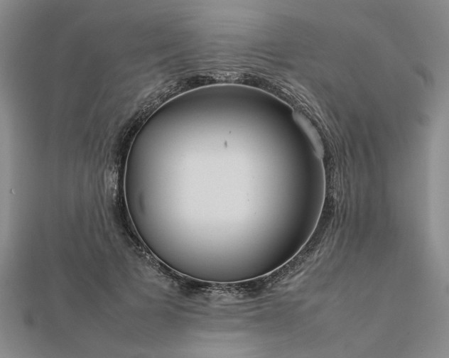 X0000112770697200908271642