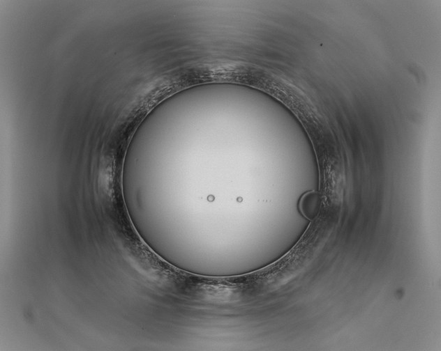 X0000112770698200908271642