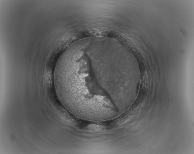 X0000112770699200908271642