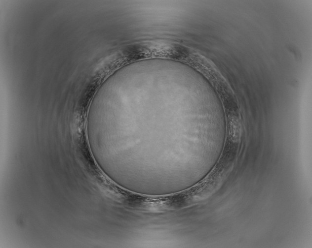 X0000112770701200908271642