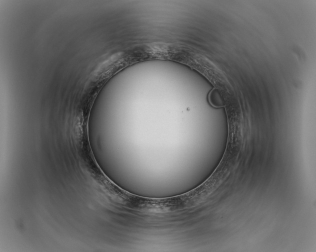 X0000112770702200908271642