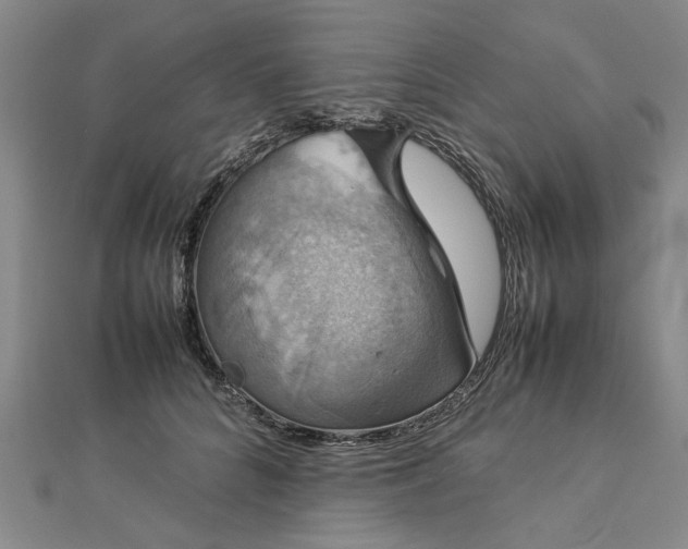 X0000112770704200908271641