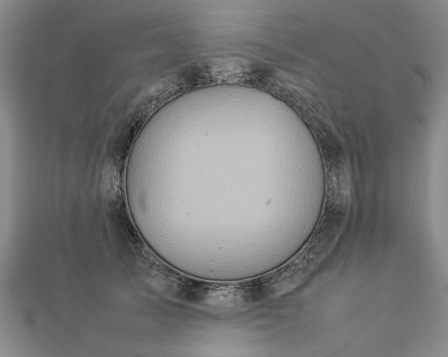 X0000112770705200908271641