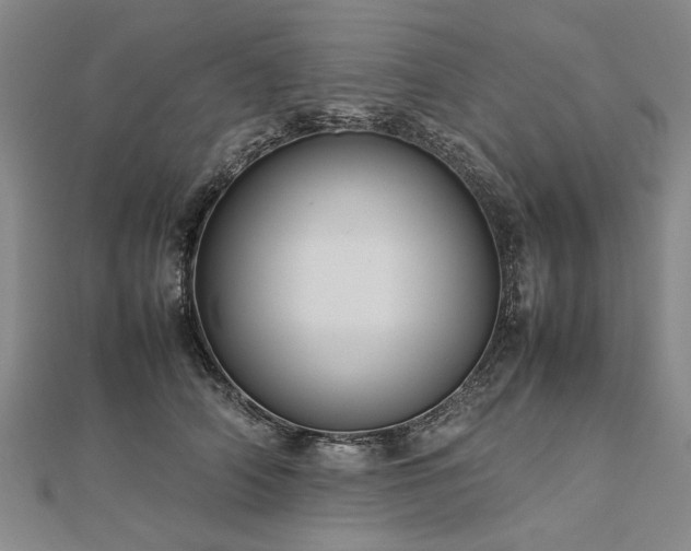 X0000112770706200908271641