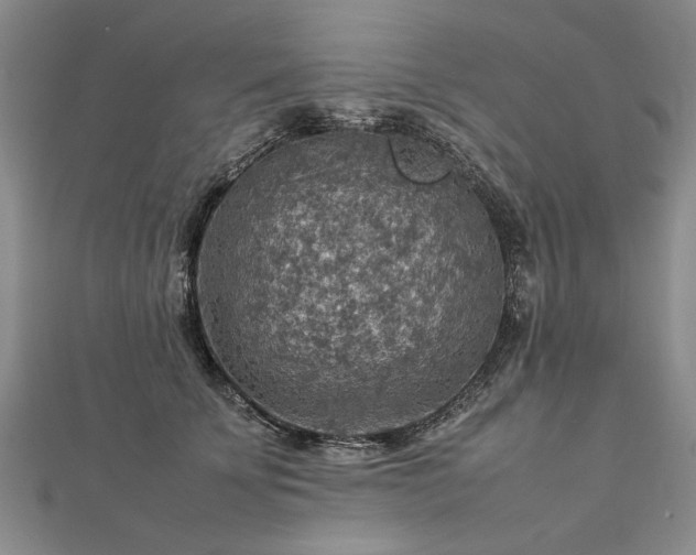 X0000112770707200908271641