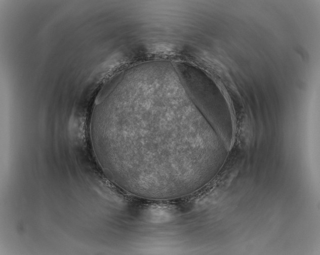 X0000112770708200908271641