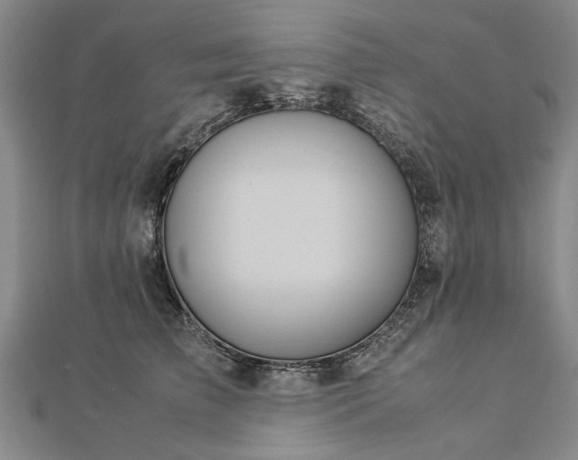 X0000112770709200908271641