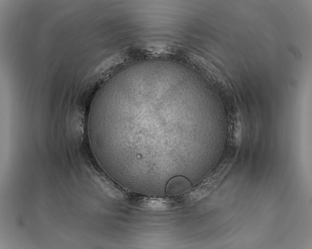 X0000112770710200908271641