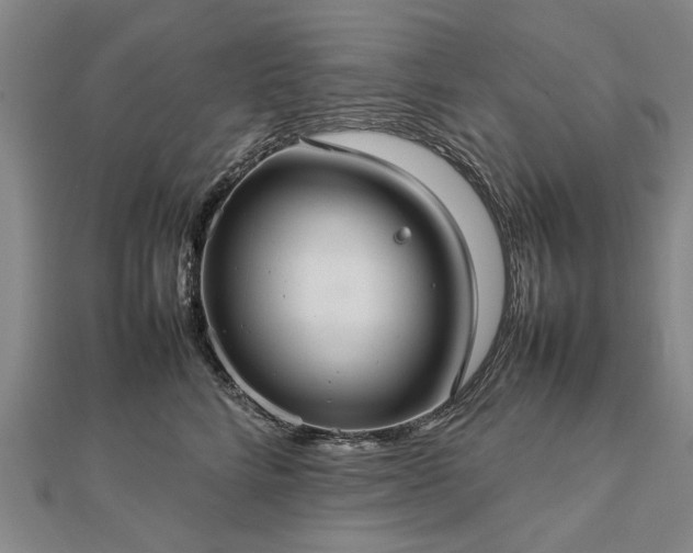 X0000112770712200908271641