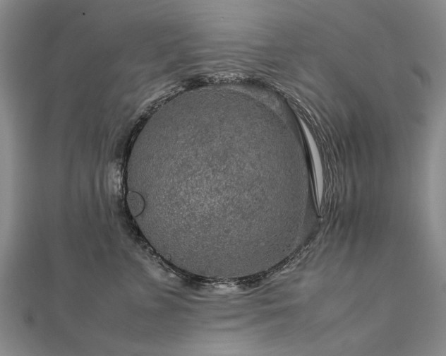 X0000112770715200908271641