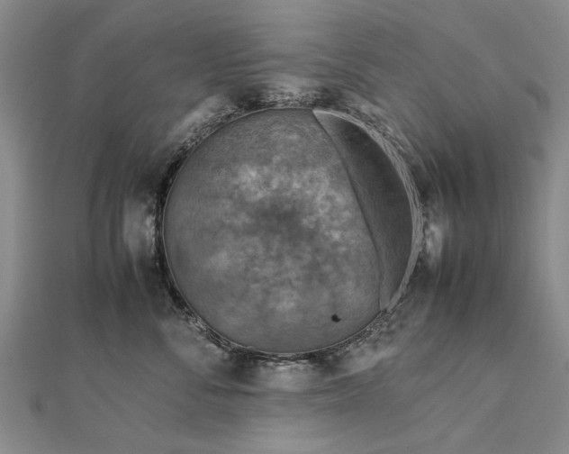 X0000112770716200908271641