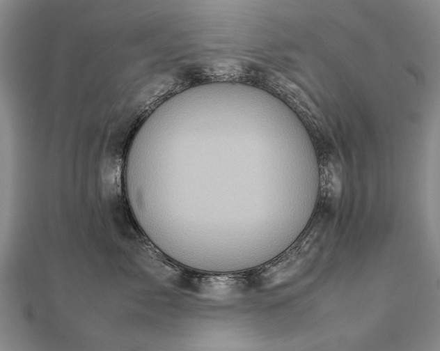 X0000112770717200908271641